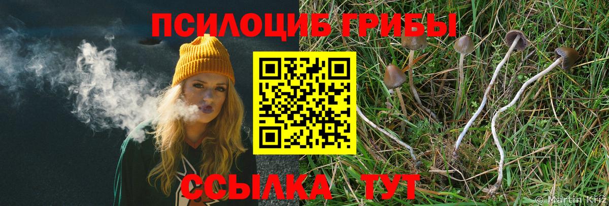 Галлюциногенные грибы Magic Shrooms Прокопьевск